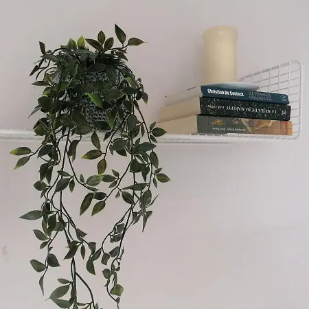 公寓 Edificio Arenal